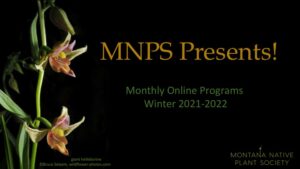 MNPS Presents graphic with image of a giant hellborine native orchid