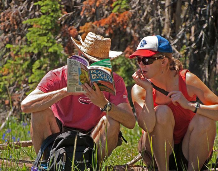 A couple looks at a field guide